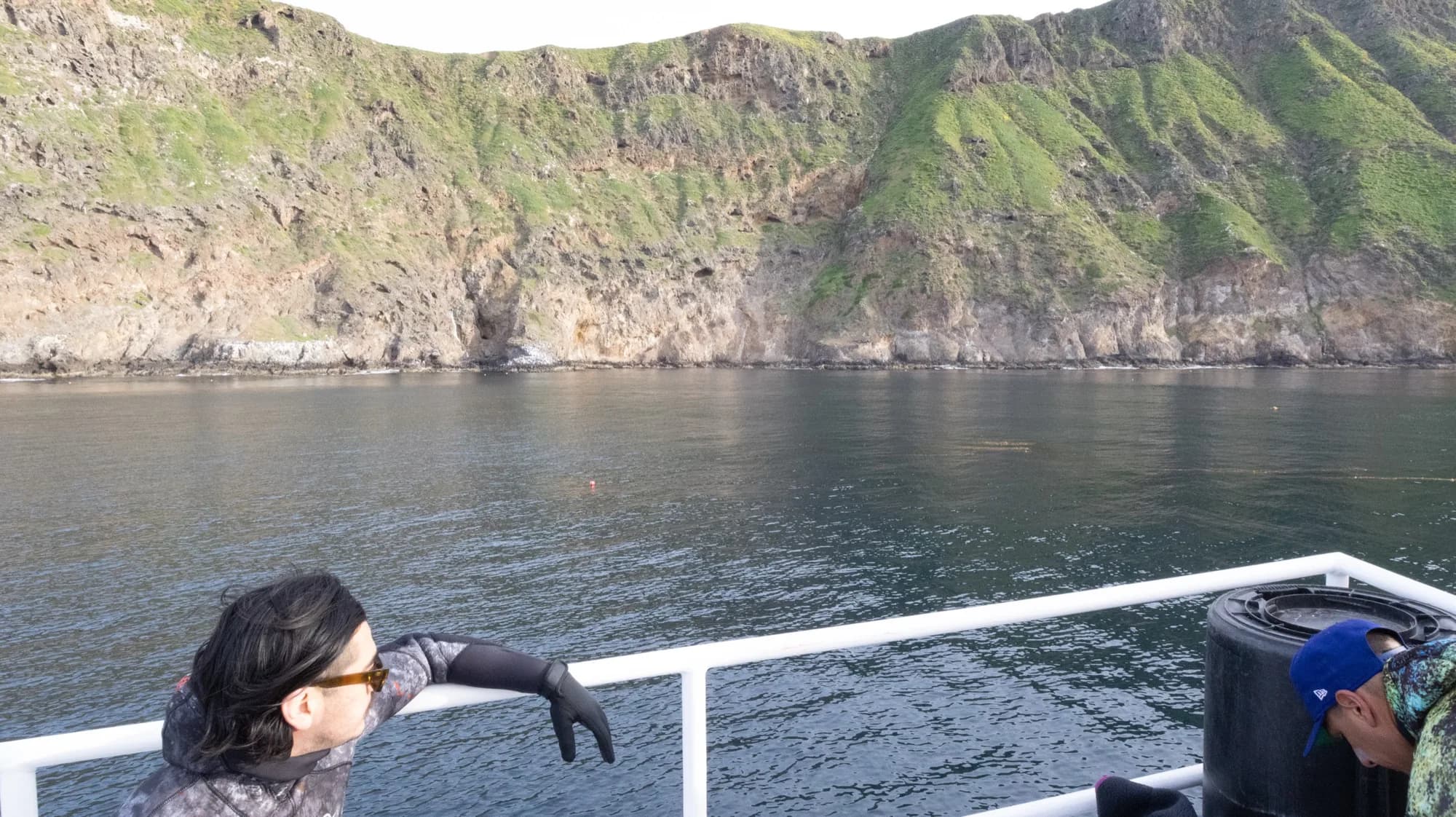 Underwater photography, at Channel Islands, (January 2026)