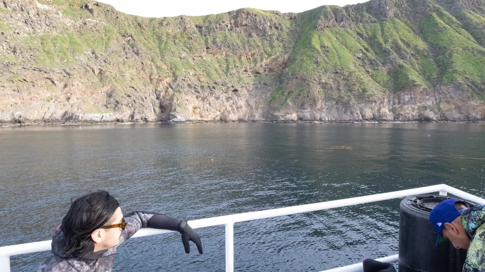 Underwater photography, at Channel Islands, (January 2026)