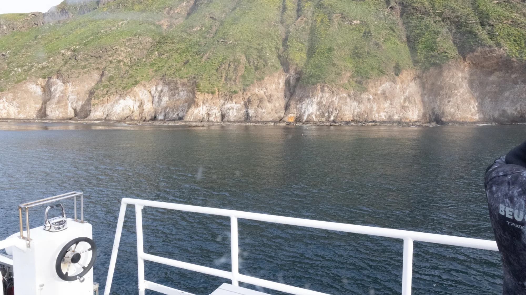 Underwater photography, at Channel Islands, (January 2026)