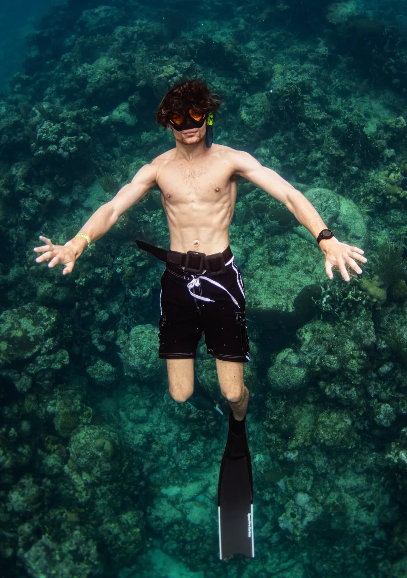 Underwater photography, at Honduras, (December 2025)