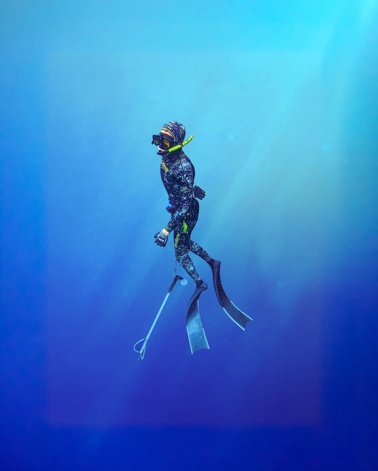 Underwater photography, at La Jolla