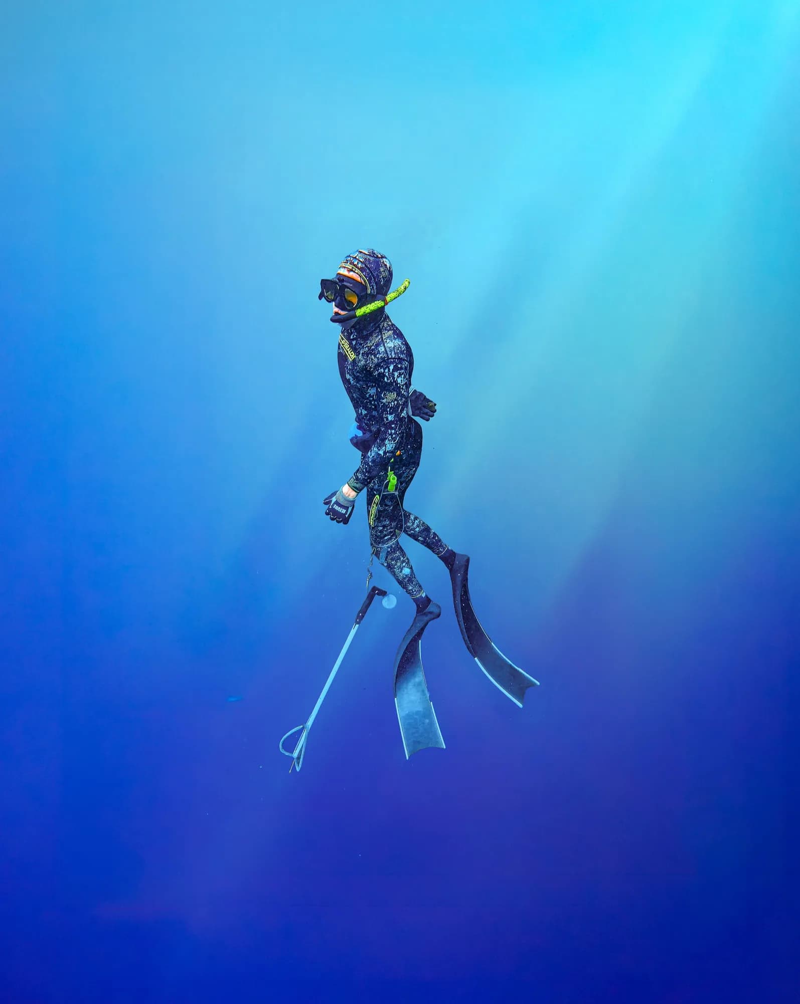 Underwater photography, at La Jolla, (January 2026)