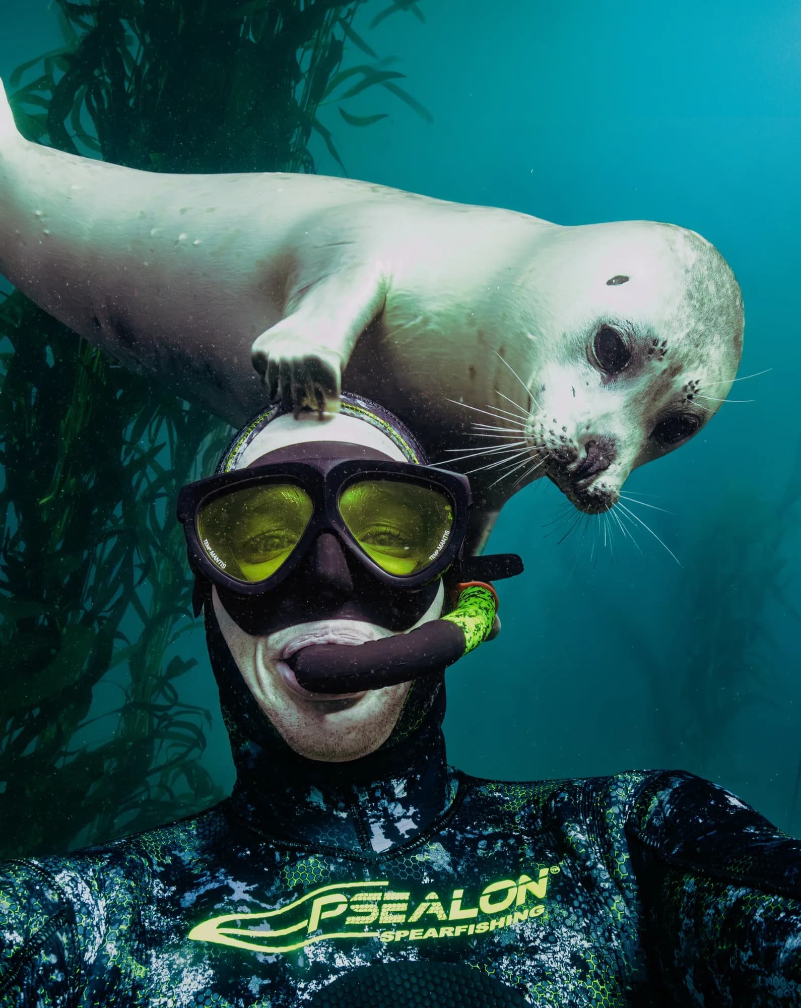 Underwater photography, at Laguna, (January 2026)