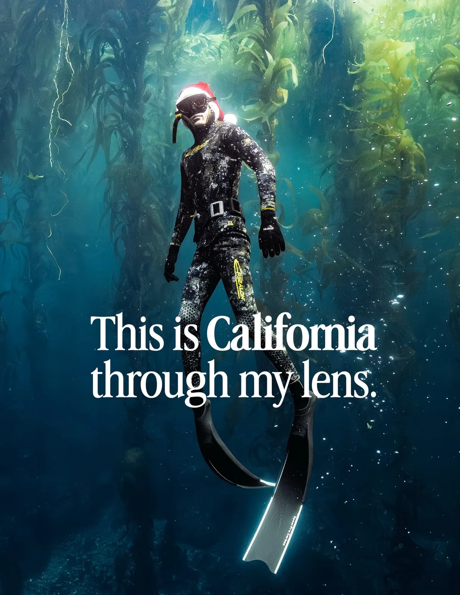 Underwater photography, (December 2025)